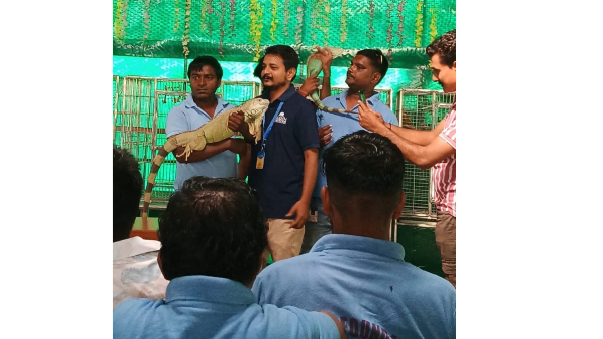 Dhun Charitable Trust, Dharmaj, and Daya Foundation, Karamsad Jointly Organize Unique Animal Welfare Program